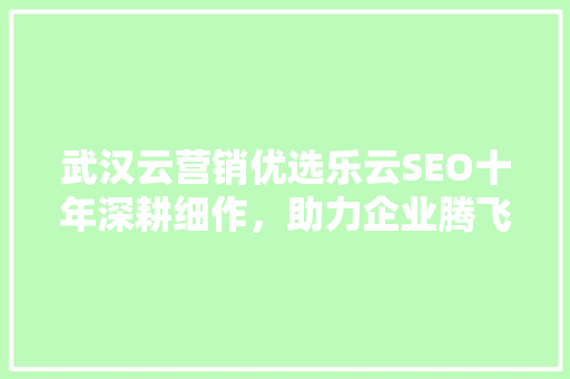武汉云营销优选乐云SEO十年深耕细作，助力企业腾飞