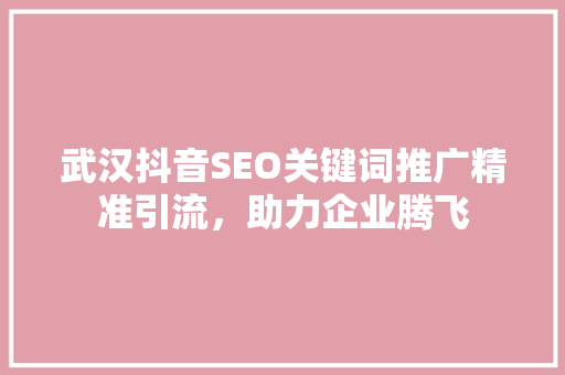 武汉抖音SEO关键词推广精准引流，助力企业腾飞