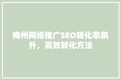 梅州网络推广SEO转化率飙升，高效转化方法