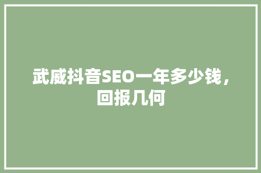 武威抖音SEO一年多少钱，回报几何