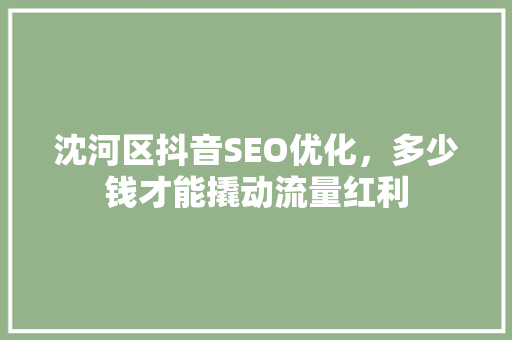 沈河区抖音SEO优化，多少钱才能撬动流量红利