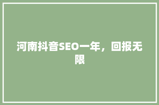 河南抖音SEO一年，回报无限
