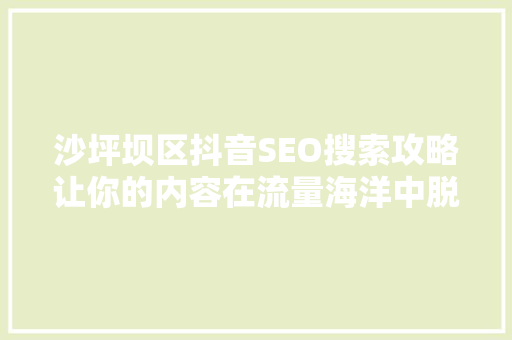 沙坪坝区抖音SEO搜索攻略让你的内容在流量海洋中脱颖而出