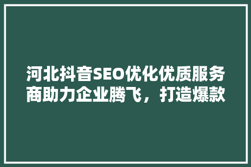 河北抖音SEO优化优质服务商助力企业腾飞，打造爆款短视频新格局