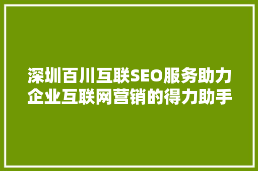 深圳百川互联SEO服务助力企业互联网营销的得力助手