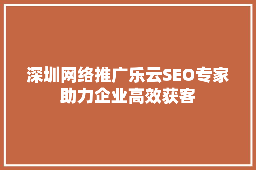 深圳网络推广乐云SEO专家助力企业高效获客
