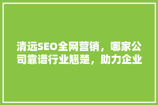 清远SEO全网营销，哪家公司靠谱行业翘楚，助力企业腾飞