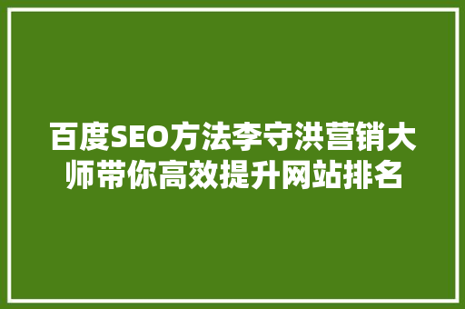 百度SEO方法李守洪营销大师带你高效提升网站排名