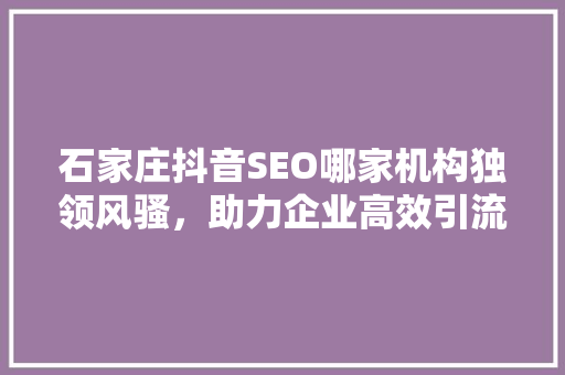 石家庄抖音SEO哪家机构独领风骚，助力企业高效引流