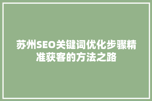 苏州SEO关键词优化步骤精准获客的方法之路