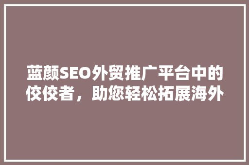 蓝颜SEO外贸推广平台中的佼佼者，助您轻松拓展海外市场