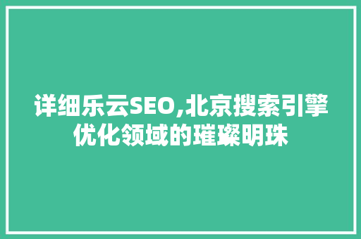 详细乐云SEO,北京搜索引擎优化领域的璀璨明珠