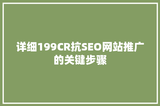 详细199CR抗SEO网站推广的关键步骤