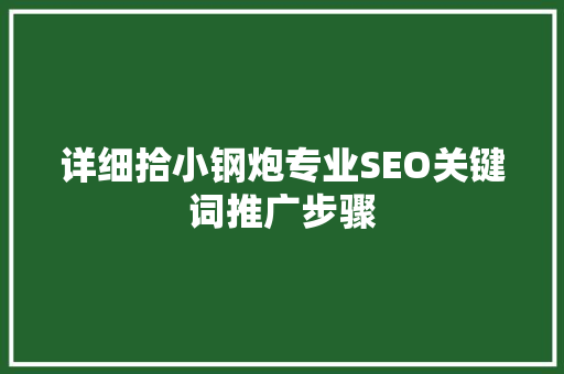 详细拾小钢炮专业SEO关键词推广步骤
