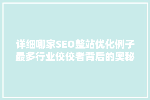 详细哪家SEO整站优化例子最多行业佼佼者背后的奥秘