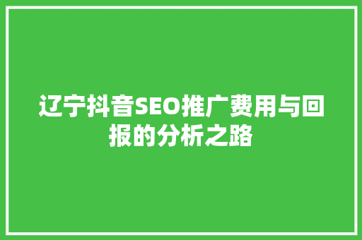 辽宁抖音SEO推广费用与回报的分析之路