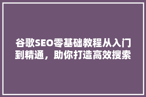 谷歌SEO零基础教程从入门到精通，助你打造高效搜索引擎优化步骤