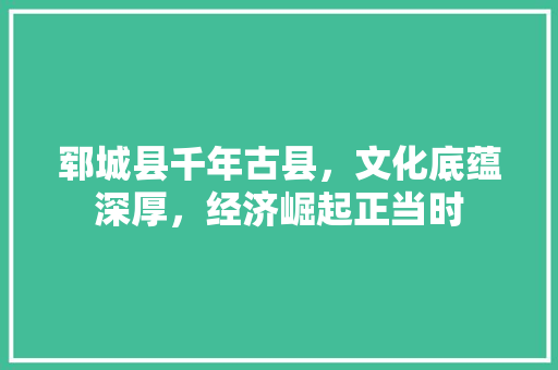 郓城县千年古县，文化底蕴深厚，经济崛起正当时