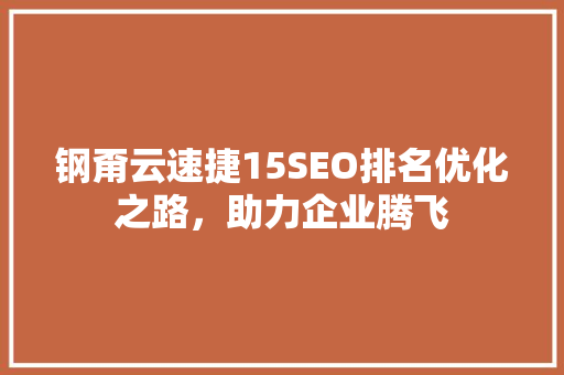 钢甭云速捷15SEO排名优化之路，助力企业腾飞