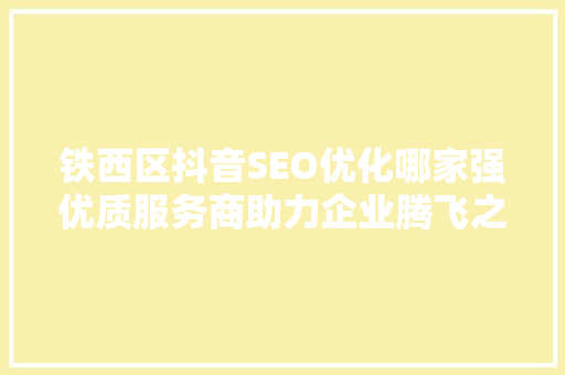 铁西区抖音SEO优化哪家强优质服务商助力企业腾飞之路
