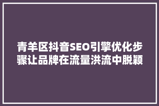 青羊区抖音SEO引擎优化步骤让品牌在流量洪流中脱颖而出