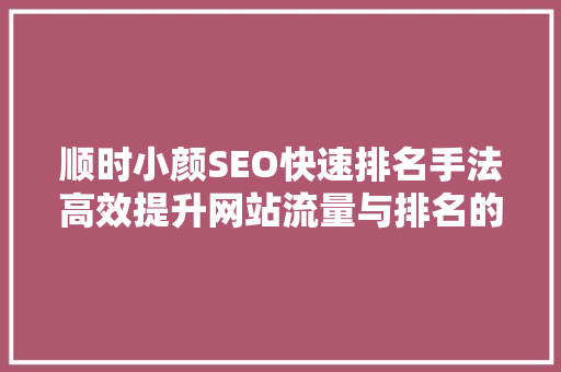 顺时小颜SEO快速排名手法高效提升网站流量与排名的方法