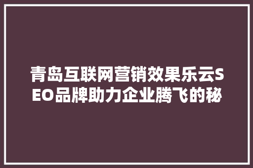 青岛互联网营销效果乐云SEO品牌助力企业腾飞的秘密武器