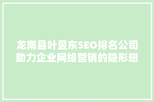 龙南县叶昱东SEO排名公司助力企业网络营销的隐形翅膀