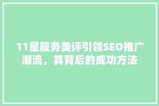 11星服务美评引领SEO推广潮流，其背后的成功方法