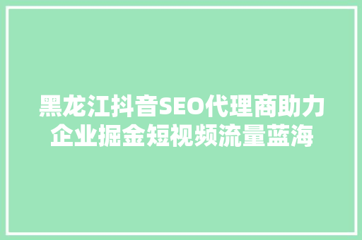 黑龙江抖音SEO代理商助力企业掘金短视频流量蓝海