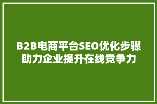 B2B电商平台SEO优化步骤助力企业提升在线竞争力
