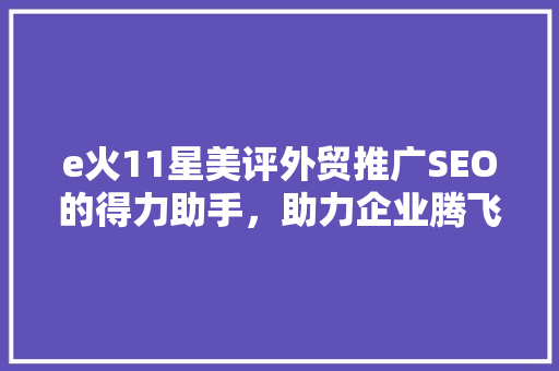 e火11星美评外贸推广SEO的得力助手，助力企业腾飞