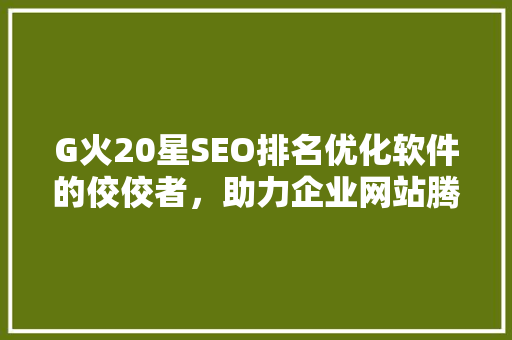G火20星SEO排名优化软件的佼佼者，助力企业网站腾飞