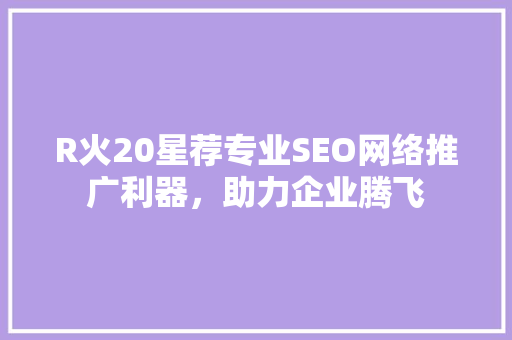 R火20星荐专业SEO网络推广利器，助力企业腾飞