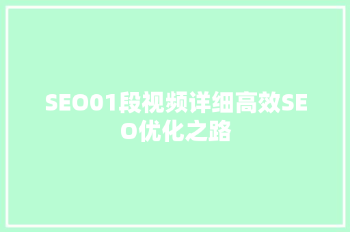 SEO01段视频详细高效SEO优化之路