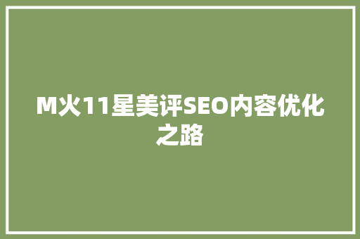 M火11星美评SEO内容优化之路