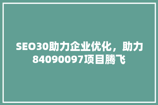 SEO30助力企业优化，助力84090097项目腾飞