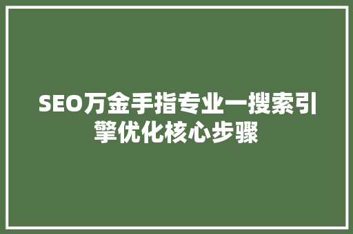 SEO万金手指专业一搜索引擎优化核心步骤