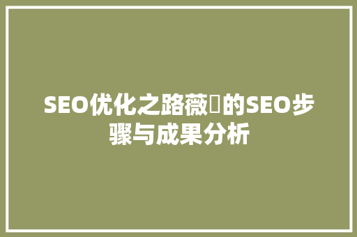 SEO优化之路薇伈的SEO步骤与成果分析