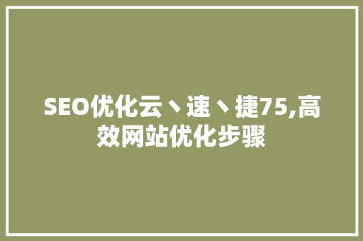 SEO优化云丶速丶捷75,高效网站优化步骤