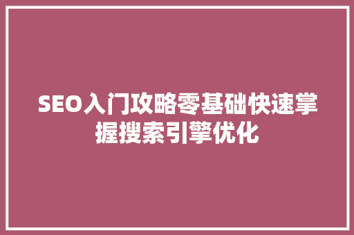 SEO入门攻略零基础快速掌握搜索引擎优化