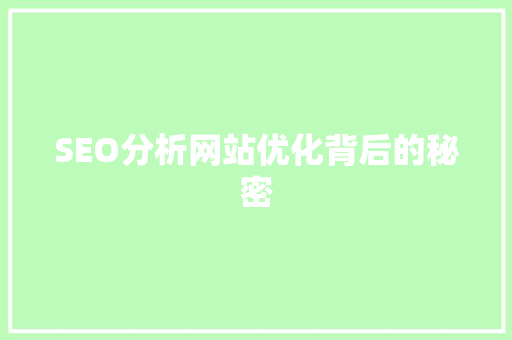 SEO分析网站优化背后的秘密