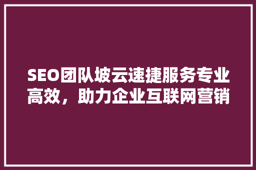 SEO团队坡云速捷服务专业高效，助力企业互联网营销