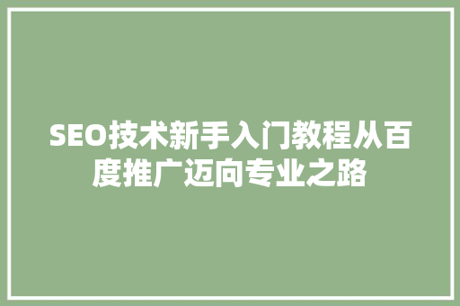 SEO技术新手入门教程从百度推广迈向专业之路