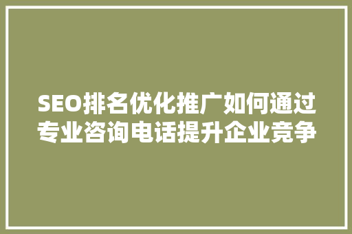 SEO排名优化推广如何通过专业咨询电话提升企业竞争力