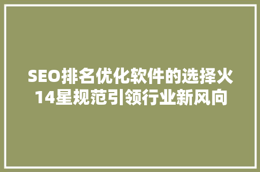 SEO排名优化软件的选择火14星规范引领行业新风向