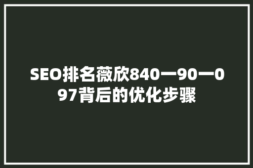 SEO排名薇欣840一90一097背后的优化步骤
