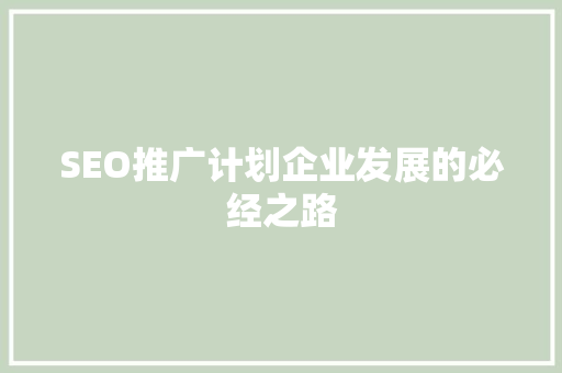 SEO推广计划企业发展的必经之路