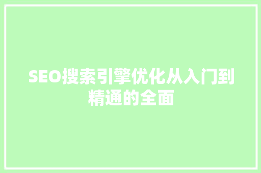 SEO搜索引擎优化从入门到精通的全面