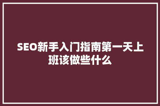 SEO新手入门指南第一天上班该做些什么